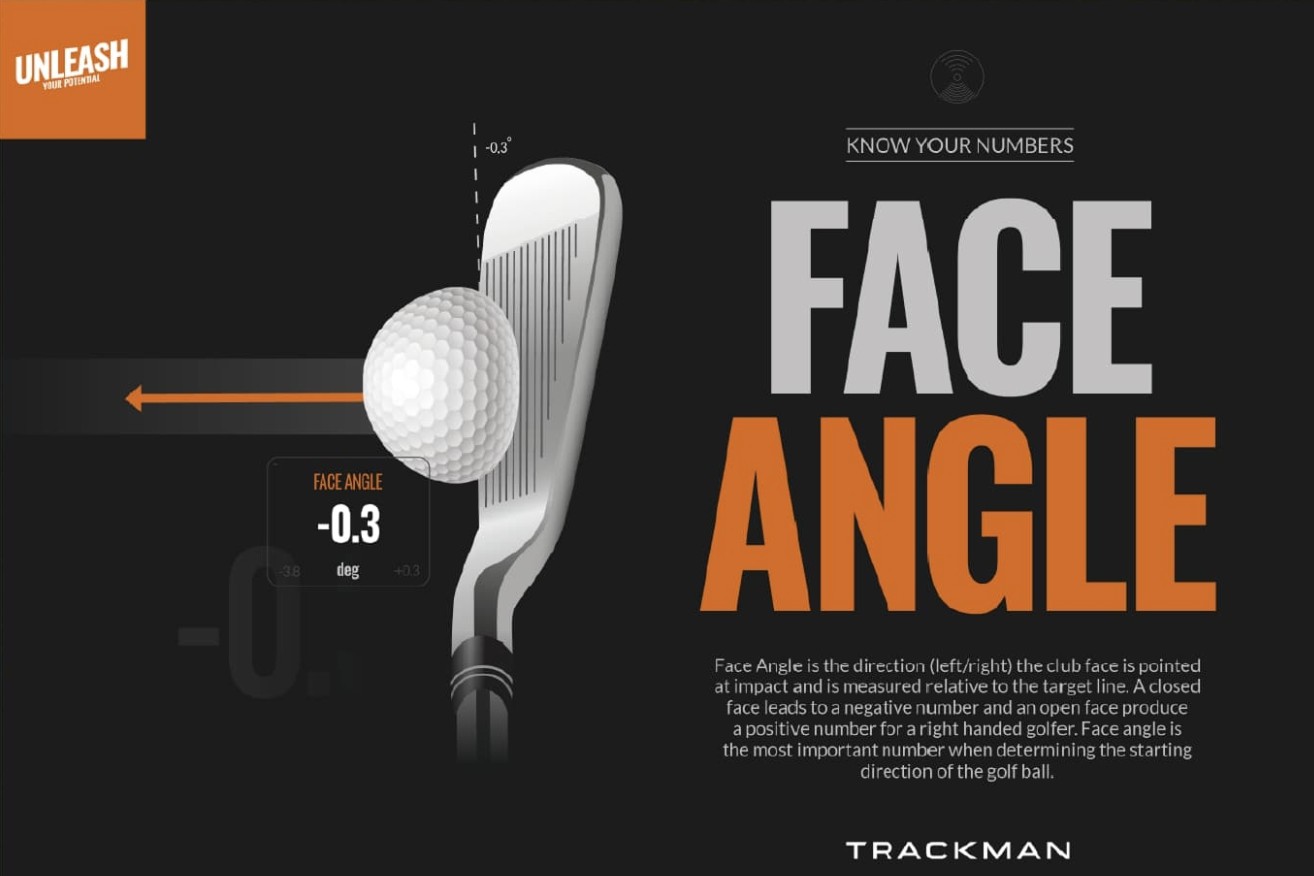 FIT24インドアゴルフの特徴